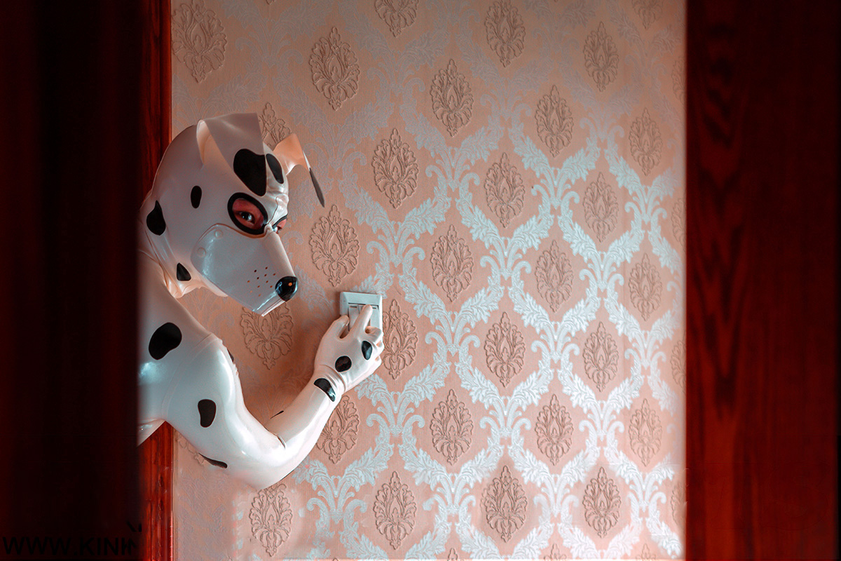 Latex Men’s Dalmatian Pup Play Catsuit with Inflatable Tail – White and Black