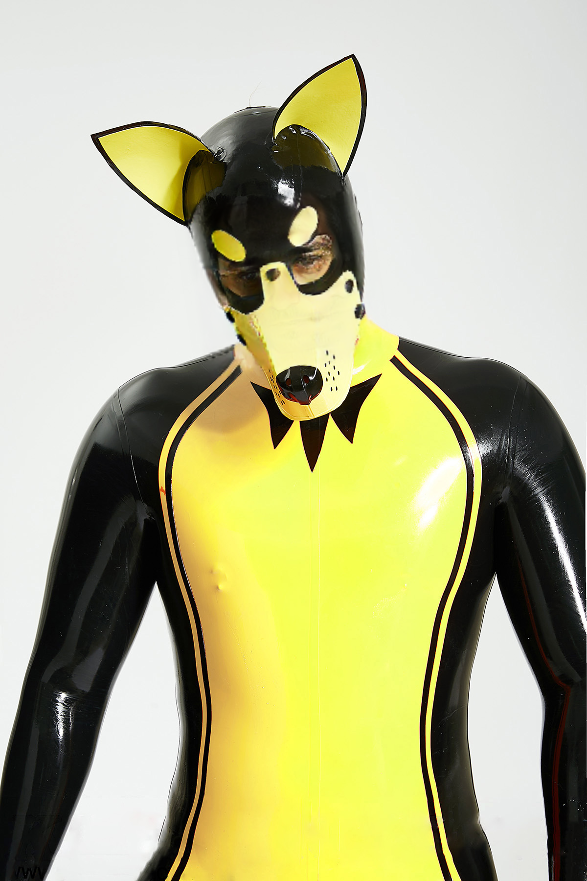 Latex Men’s Pup Play Catsuit with Inflatable Tail – Yellow and Black